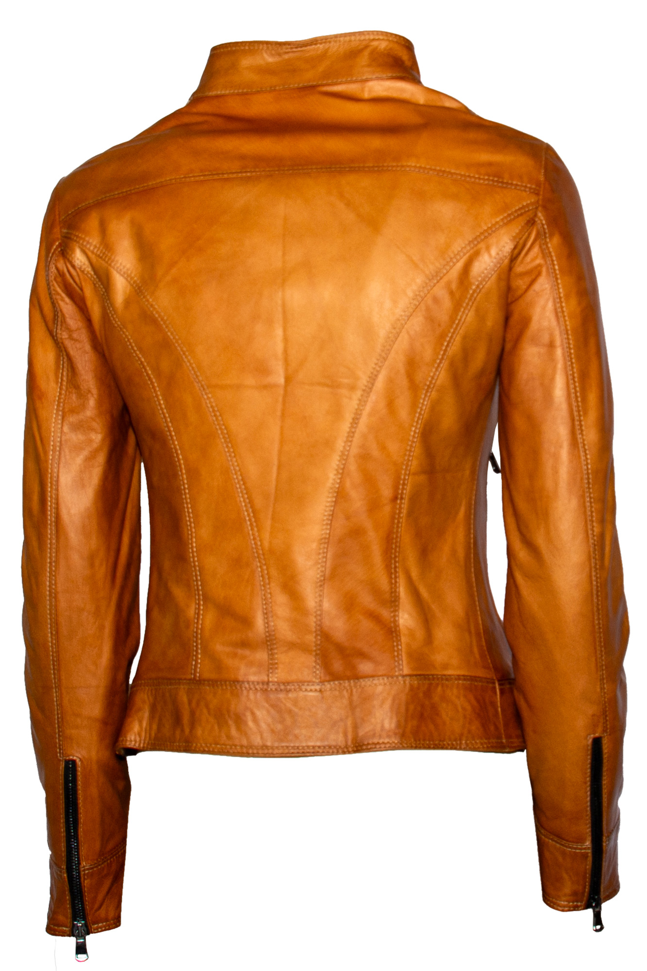 gaya-fibula-terra_back