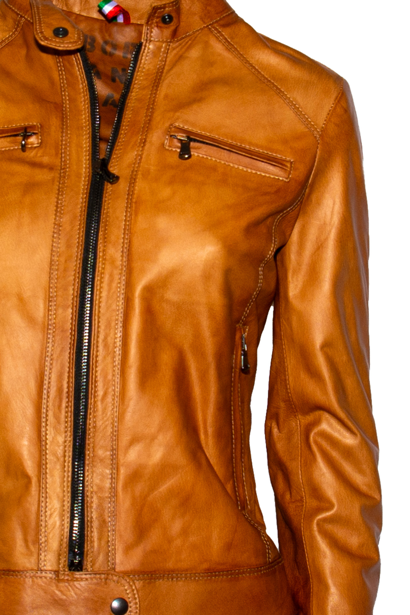 gaya-fibula-terra_det1