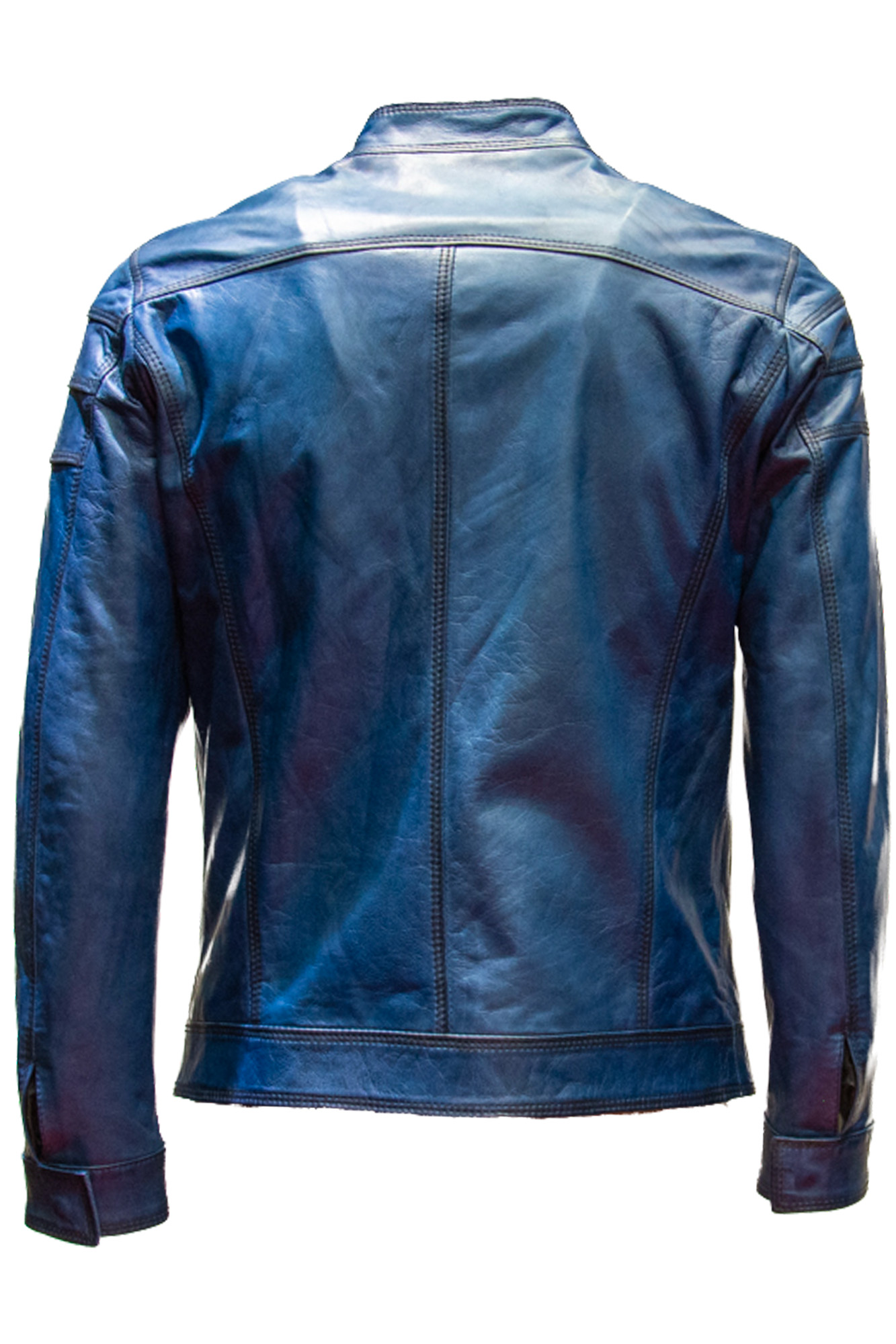 pegaso3-fibula-bluette_back