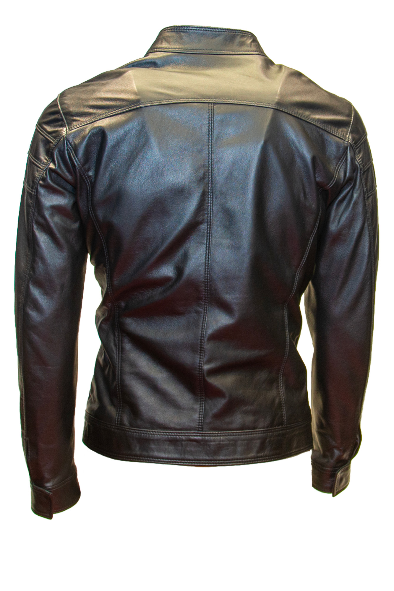 pegaso3-jap-nero_back
